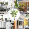 Indoor Outdoor Decorative Accessories Artificial Areca Palm Decorative Silk Tree